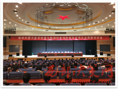 �������_��(gu��)�l(w��i)��(f��)����ý������ƿ�