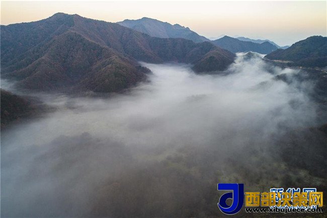 1510189407387286.jpg 1.jpg