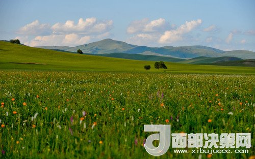 錫林郭勒草原。吳勇攝