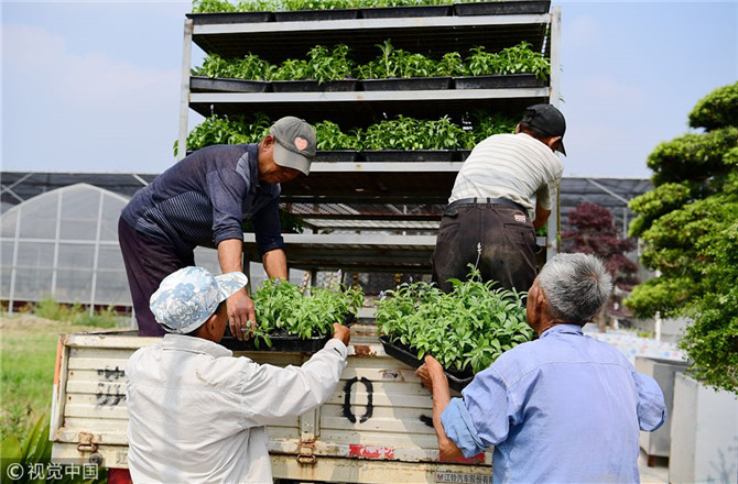 數(shù)字經(jīng)濟(jì)已經(jīng)成為我國(guó)經(jīng)濟(jì)社會(huì)更好發(fā)展的重要推動(dòng)力，也為我國(guó)鄉(xiāng)村發(fā)展提供了新的歷史機(jī)遇。（圖片來源：視覺中國(guó)）