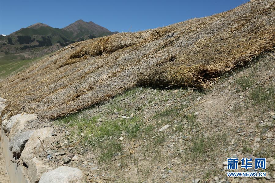 (圖文互動)(4)新疆賽里木湖:水清草綠回歸“高顏值”