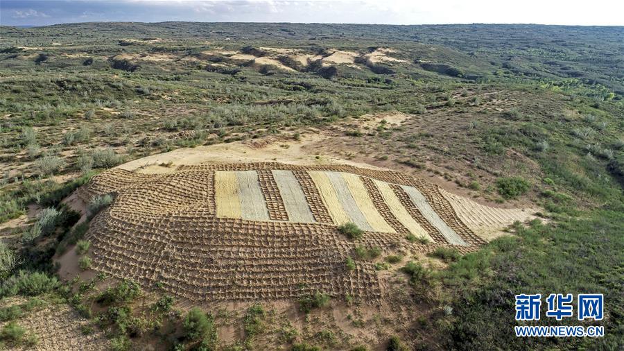 （壯麗70年·奮斗新時(shí)代——共和國發(fā)展成就巡禮·圖文互動(dòng)）（6）生態(tài)美、百姓富——品讀嶄新“寧夏畫卷”