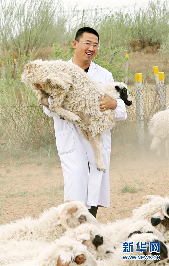 （壯麗70年·奮斗新時(shí)代——共和國發(fā)展成就巡禮·圖文互動(dòng)）（3）生態(tài)美、百姓富——品讀嶄新“寧夏畫卷”