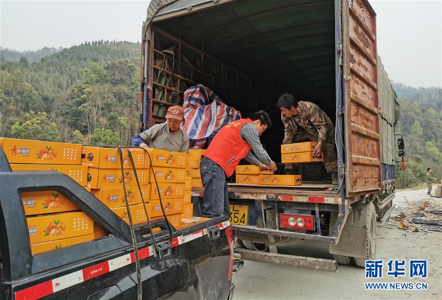 (決戰(zhàn)決勝脫貧攻堅·圖文互動)(6)另一種“逆行”——廣西5300余名駐村第一書記提前返崗投身“兩線作戰(zhàn)”