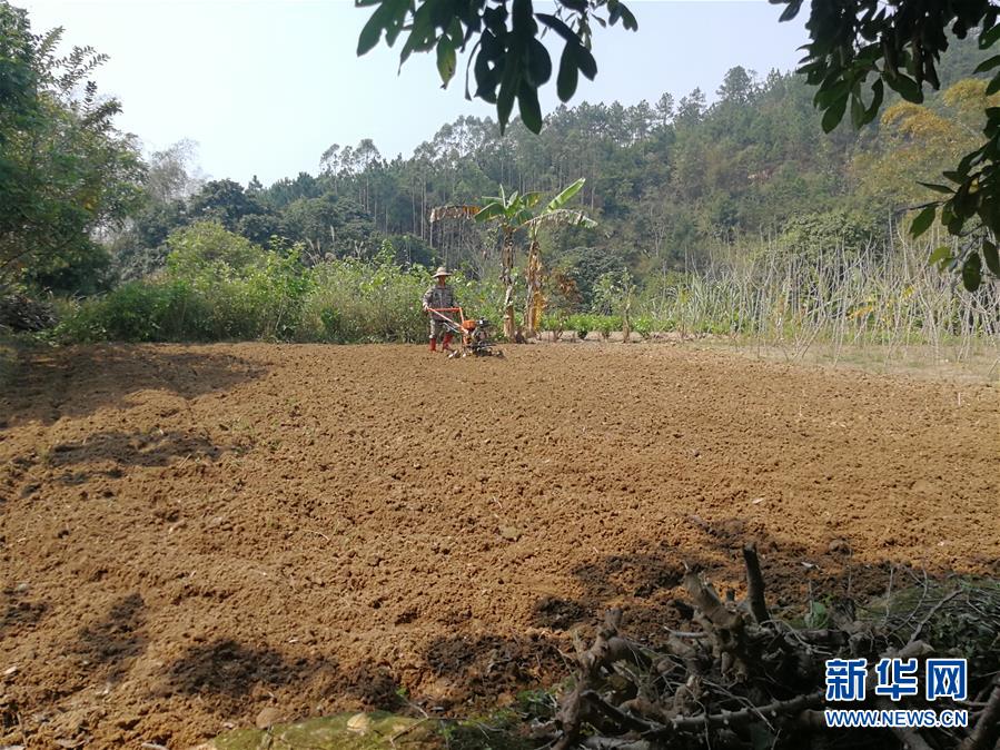 (決戰(zhàn)決勝脫貧攻堅·圖文互動)(4)另一種“逆行”——廣西5300余名駐村第一書記提前返崗投身“兩線作戰(zhàn)”