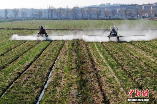 2月20日，南京湖熟街道現(xiàn)代農(nóng)業(yè)示范園區(qū)內(nèi)，工作人員駕駛自走式噴霧機給小麥噴灑除草劑。泱波 攝