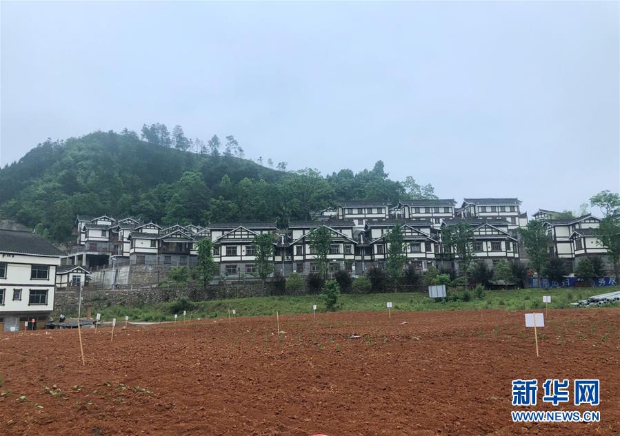 (決戰(zhàn)決勝脫貧攻堅·圖文互動)(2)一分菜園穩(wěn)“心遷”