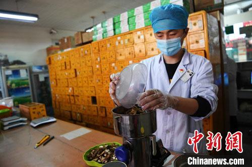 疫情發(fā)生以來，甘肅確保所有病例盡早、及時(shí)、全程使用中醫(yī)中藥，努力做到“一患一方案”。(資料圖) 楊艷敏 攝