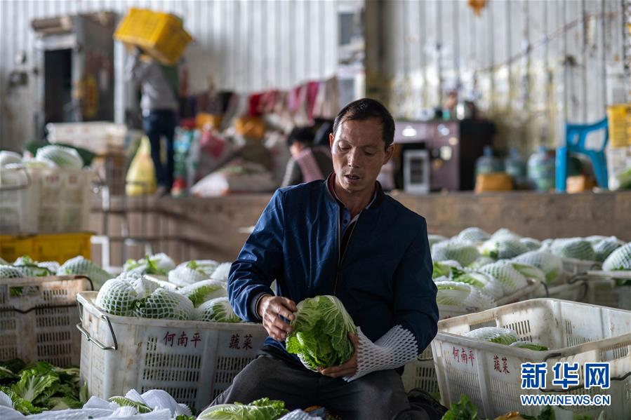 (新華全媒頭條·走向我們的小康生活·圖文互動(dòng))(12)綠染云嶺小康路——生態(tài)文明建設(shè)的云南實(shí)踐