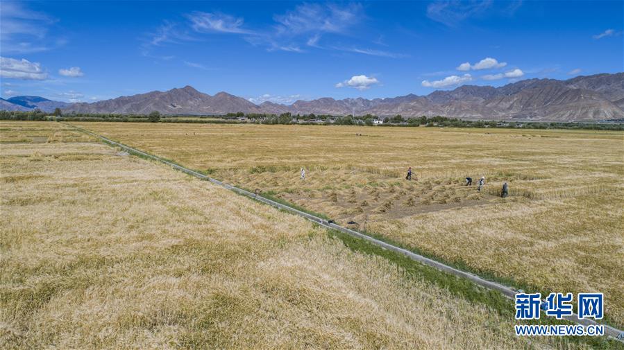 （新華全媒頭條·走向我們的小康生活·圖文互動(dòng)）（11）扎西德勒，我們的新家園——西藏易地扶貧搬遷搬出幸福美好新生活