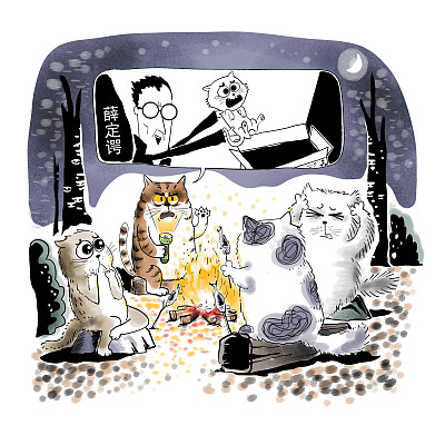 ▲物理學(xué)家薛定諤曾用一只貓比喻量子疊加。圖片來(lái)源：視覺(jué)中國(guó)