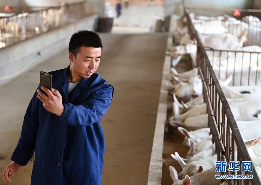 (新華全媒頭條·五中全會(huì)精神在基層·圖文互動(dòng))(12)奮發(fā)新青年 逐夢新征程——各地青年學(xué)習(xí)貫徹落實(shí)五中全會(huì)精神觀察