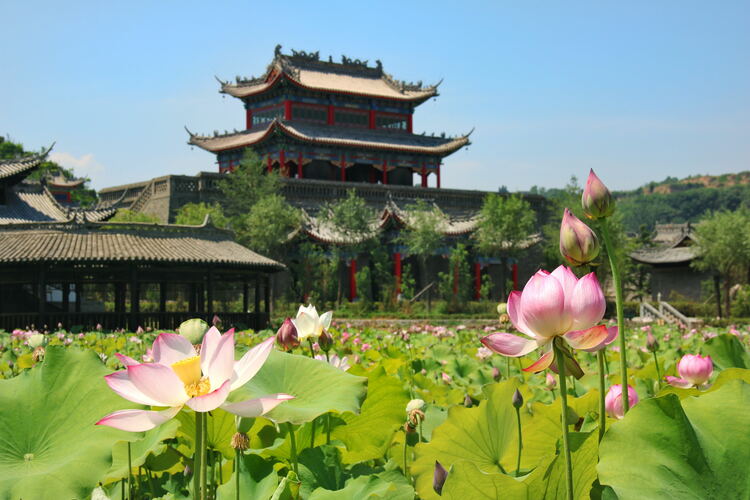 【云游渭南】心中若有桃花源，此處便是水云間！待疫情散盡，一起來(lái)渭南桃花源賞美景、觀民俗、享美食_fororder_2