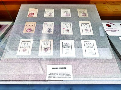 【奮進新時代·展品背后的故事】12張選民證中的時光印記 【奮進新時代·展品背后的故事】12張選民證中的時光印記